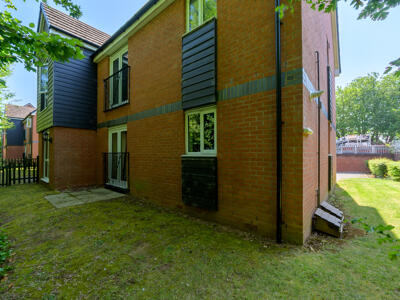 Picture 9